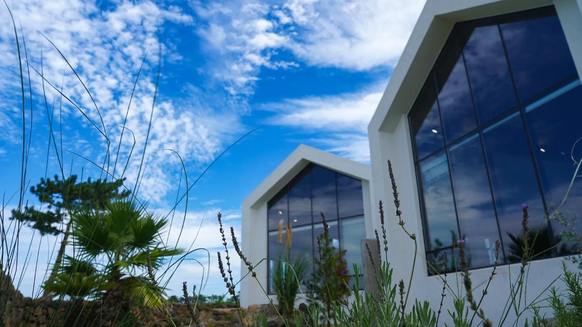 Dalthor Pension Jeju 0*,